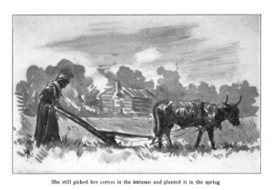 Illustration by Harry Roseland from Hazel by Mary White Ovington, captioned She still picked her cotton in the autumn...